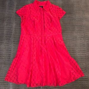 Women’s size 16W dress